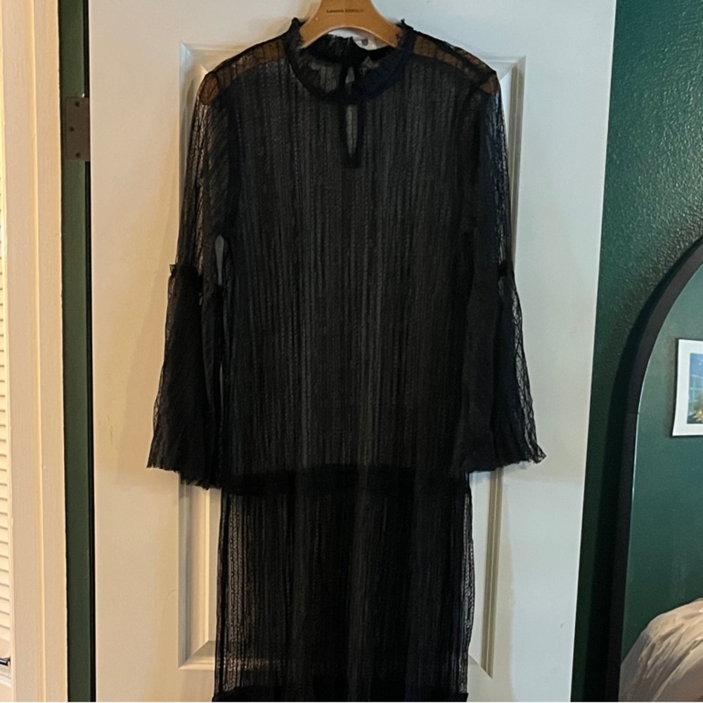 Anthropologie Sheer Long Sleeve Sheer Dress